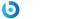 BigFix_White