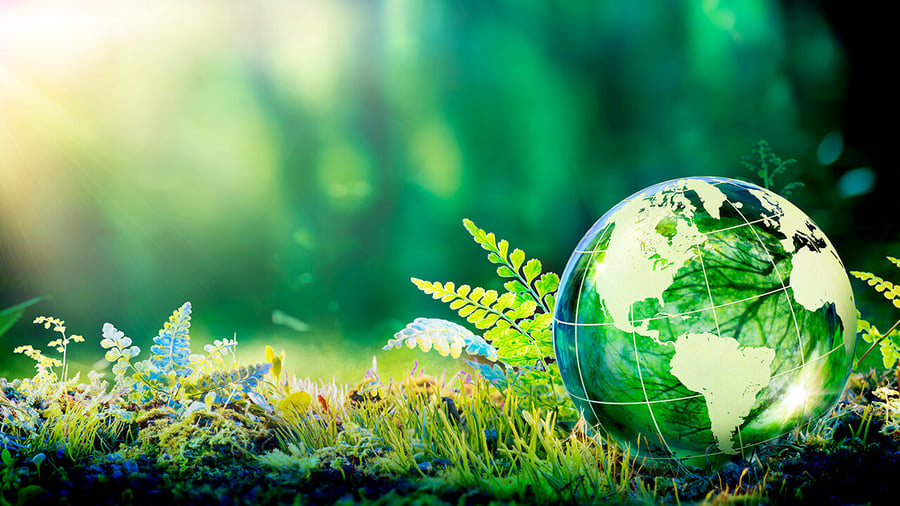 Measure Carbon Emissions Produced by IT Resources