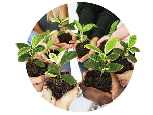ReadyWorks Sustainability